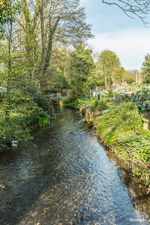 River Tillingbourne in the village of Shere, Surrey. This shot was taken from the bridge by the ford and allotments.