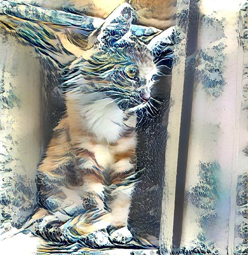 Biscuit Style Transfer