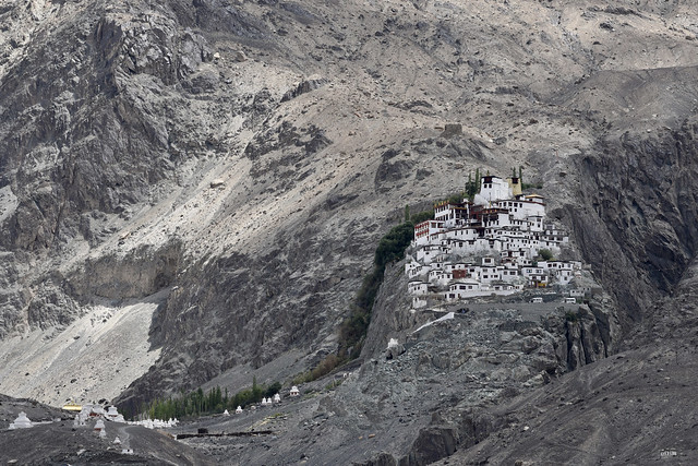 INDIA - Ladakh