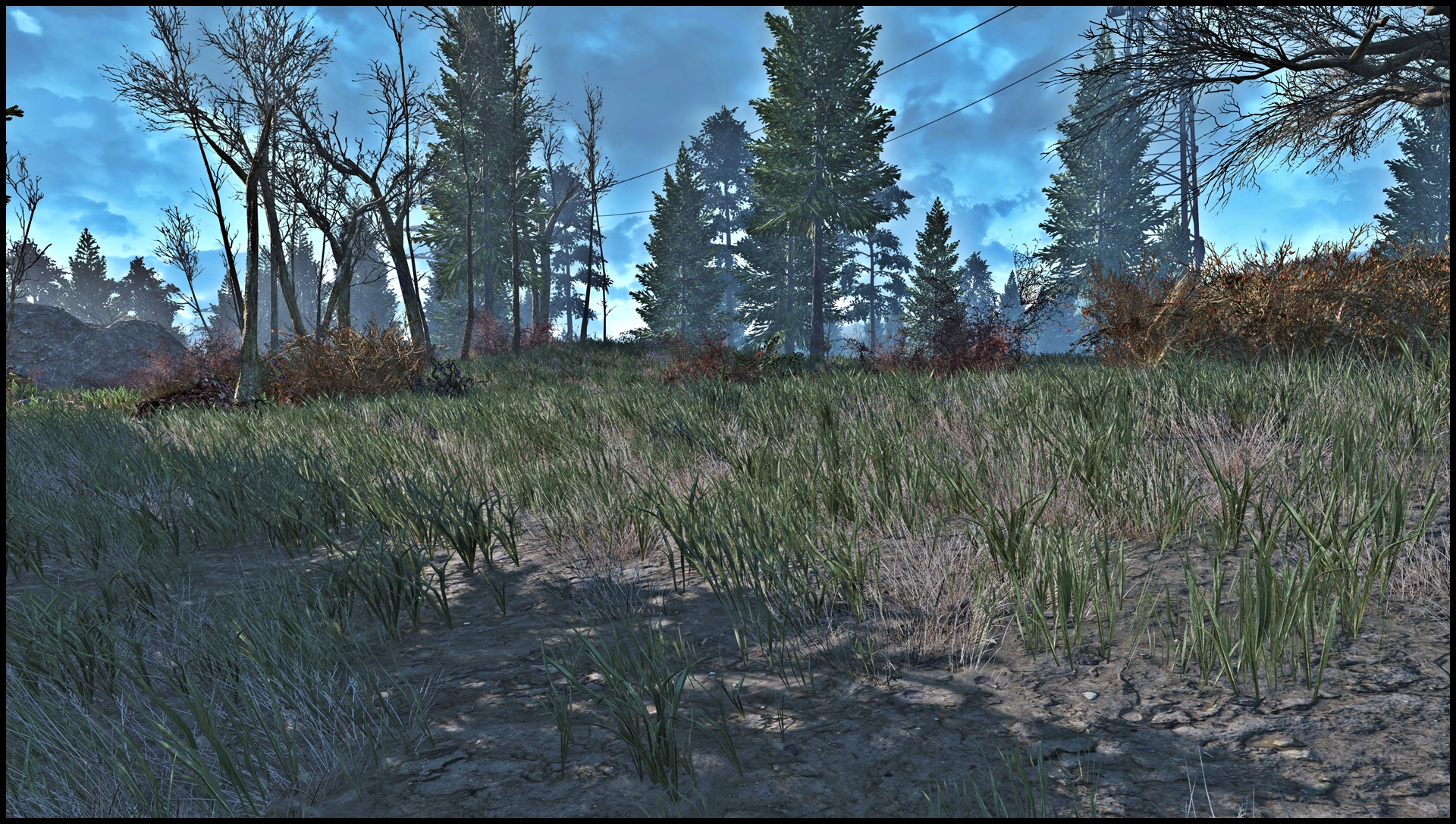 to grass - or not to grass at Fallout 4 Nexus - Mods and community