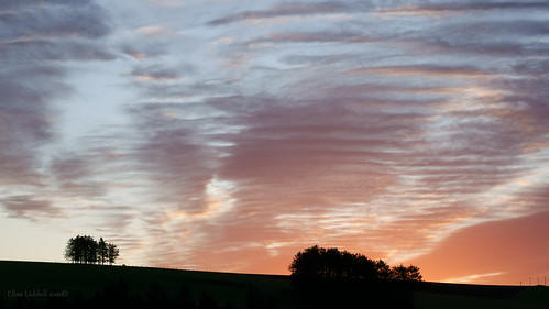elisafox22 sony rx10m3 sky sunrise winter silhouettes trees dawn aberdeenshire scotland outdoors elisaliddell©2021