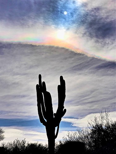 arizona desert tucson cloud sun sky outdoor outside cactus saguaro silhouette rainbow moon landscape weeklythemechallenge beginswithc sonorandesert collagecloud collagefinal