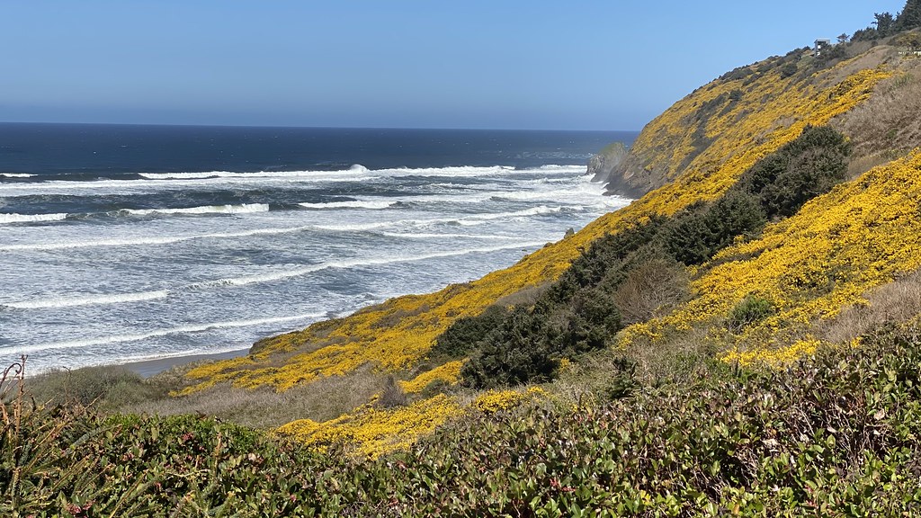Baker Beach Loop Trail