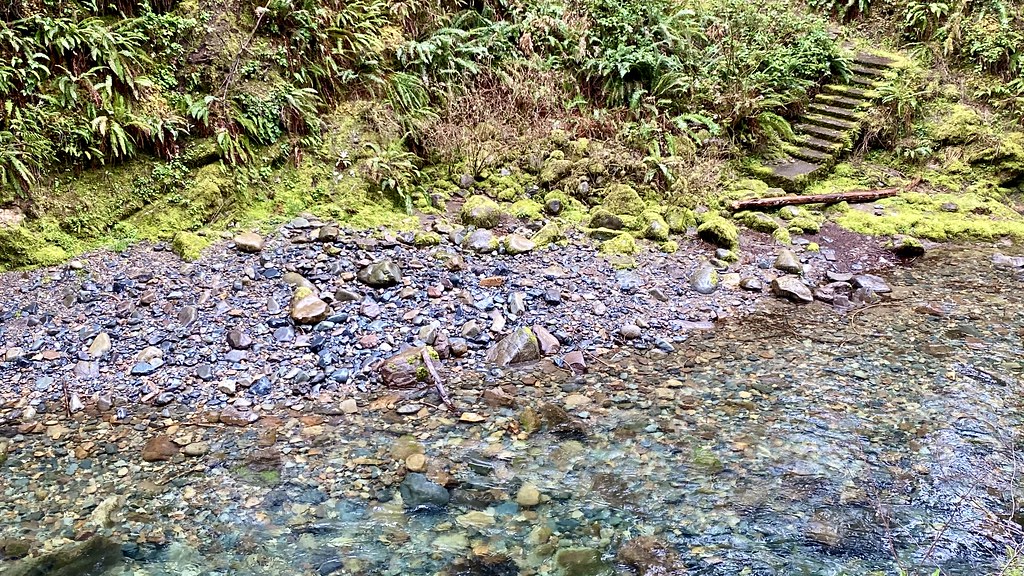 Brice Creek Trail #1403