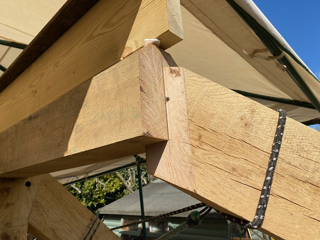 Top joint in place - right rear green oak hip