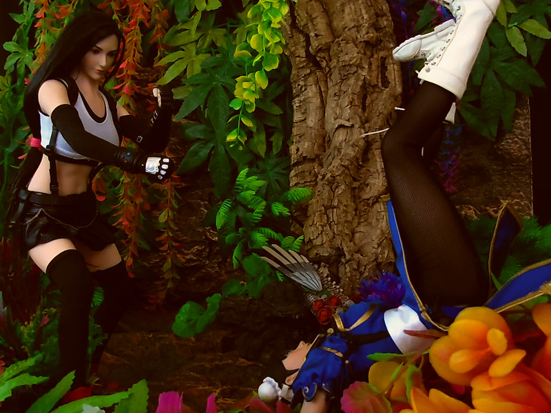 Chun-Li vs Tifa - Sparring Session 51114816164_c7c1d1ed1f_c