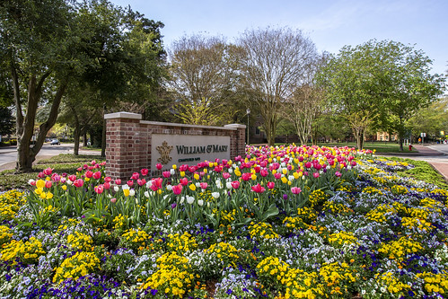 William & Mary in spring is a gorgeous sight.