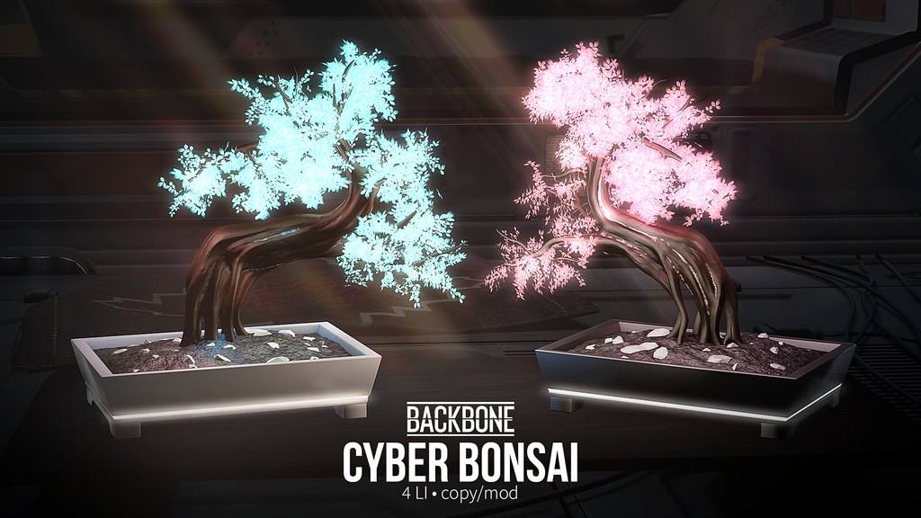 BackBone Cyber Bonsai