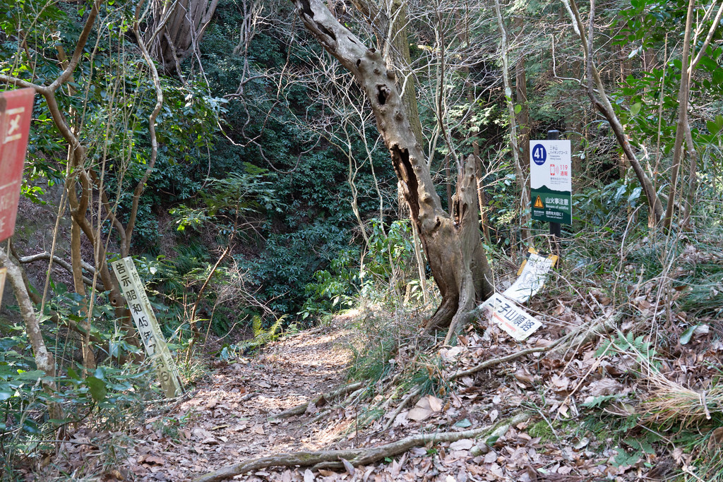 森戸川林道