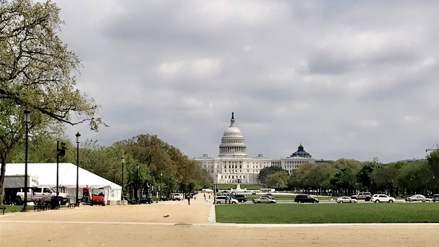 US Capitol view fr National Mall - Washington D.C- April 2021 - #dc #washingtonDC #DistrictofColumbia #walkwithlocals #creativeDC #DowntownDC #chinatown #nationalmall