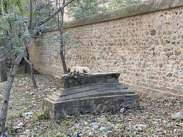 City Landmark - Unknown Grave, Near Humayun's Tomb