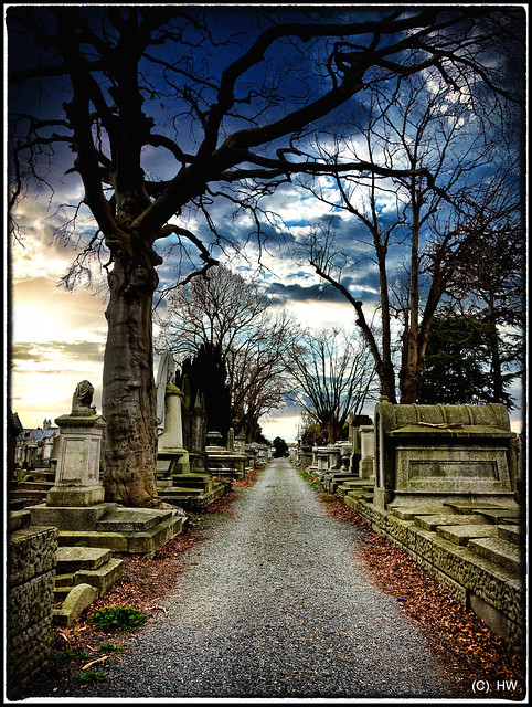 Mount Jerome Cemetery Dublin Ireland