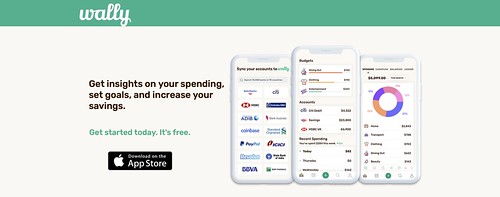 Screenshot of Wally's website home screen - Four Free Apps to Help You Budget