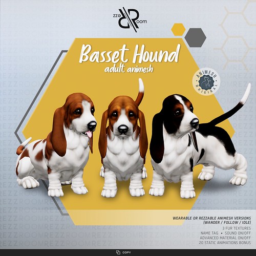 [Rezz Room] Basset Hound Animesh (Companion)