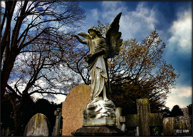 Mount Jerome Cemetery Dublin Ireland