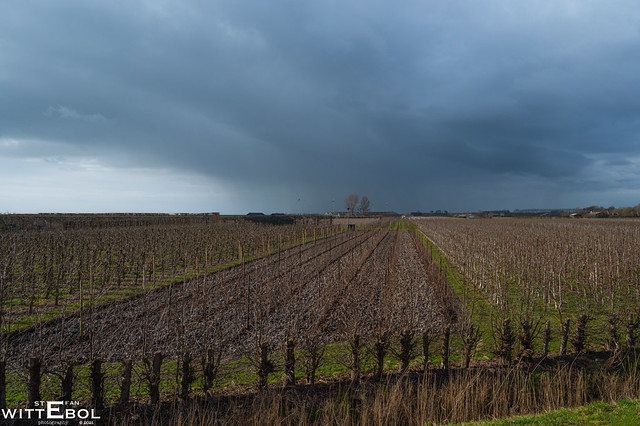 Zeeland - Rain above agricultural land
