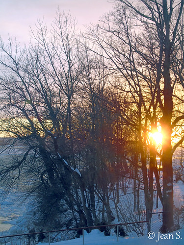 water river trees snow winter sunset sky golden