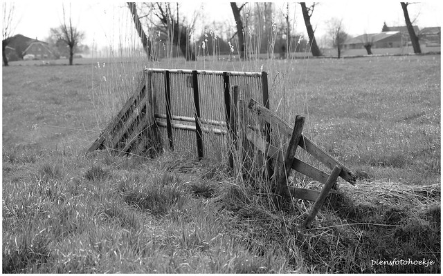 landscape with a fence