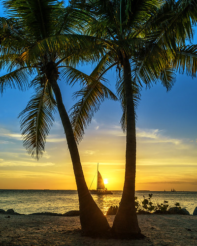 beach florida fortzacharytaylorstatepark keywest ocean palmtrees sailboat sand sunset