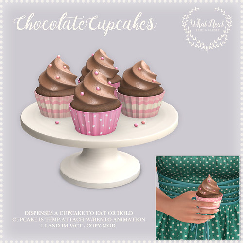 {what next} Chocolate Cupcakes - Scavenger Hunt Gift for 'Hunt For a Cure' RFL
