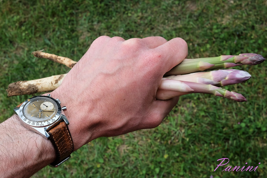 Dites-le avec des... légumes - Feu de montres potagères - Page 11 51119637448_0be87d6129_b