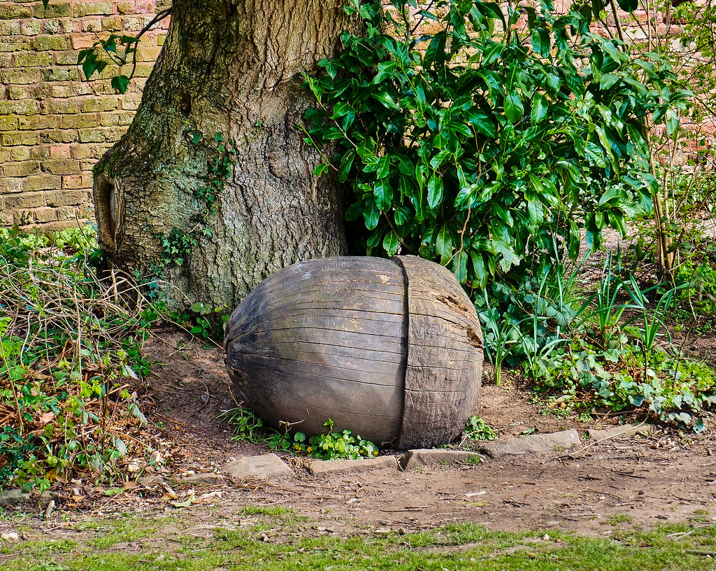 Must be some big squirrels in Chadkirk judging by the size of the Acorn!