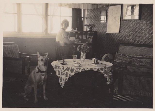 Photo album 2 - Somewhere at Java: Woman with dog in living room