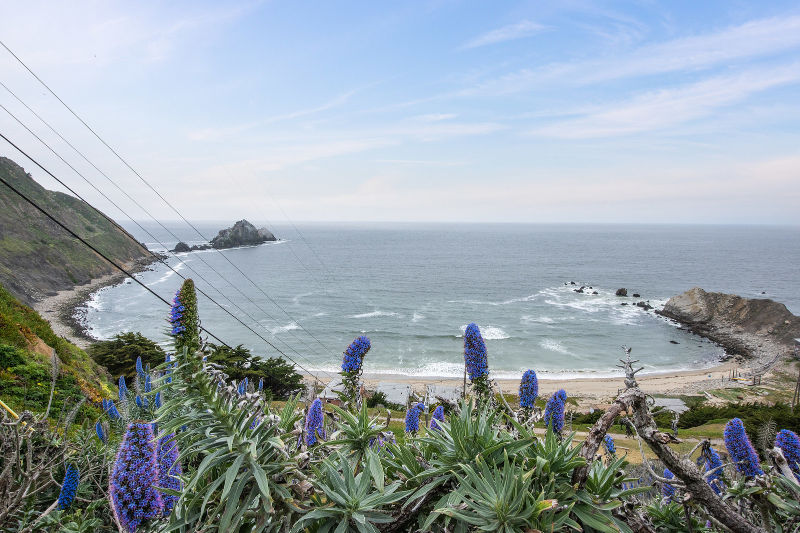 Cover Image for 1156 Palou Drive, Pacifica presented by Jan 