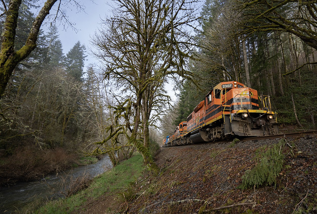 Geeps and the Oregon Rainforest