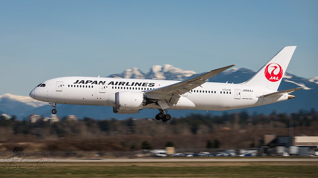 JA844J - Japan Airlines - Boeing 787-8 Dreamliner