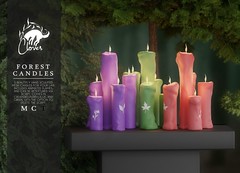 Clover - Forest Candles