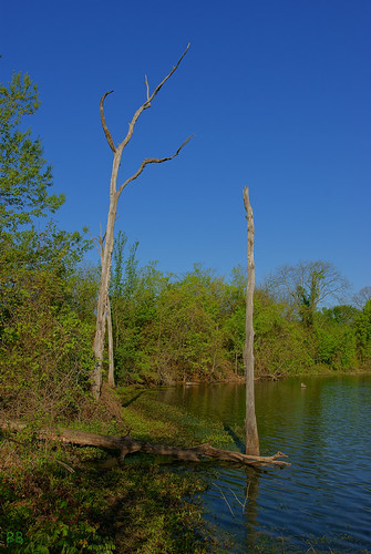 DSC01544 by #Benjamin Benson Photography, Durant, OKlandscape nature lake
