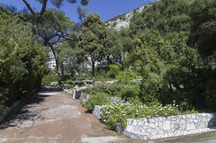 Gibraltar Botanic Gardens, 25.03.2015.
