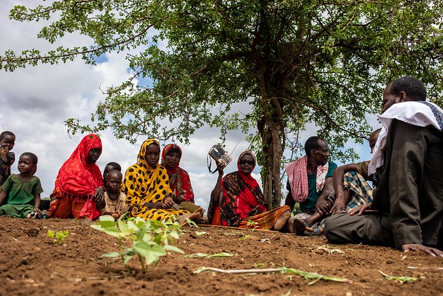 Improving and sustaining food security in rural Somalia