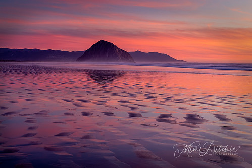 morrobay morrorock pacificocean dusk ocean reflections rock sand seascape sunset lowtide getty gettyimages mimiditchie mimiditchiephotography ©mimiditchiephotography