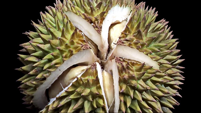 India - Goa - Market - Durian - 11d