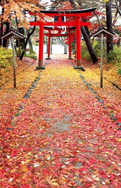 Autumn Torii 01