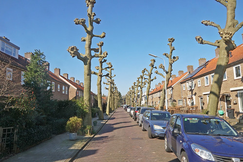 Ibisstraat - Badhoevedorp (Netherlands)