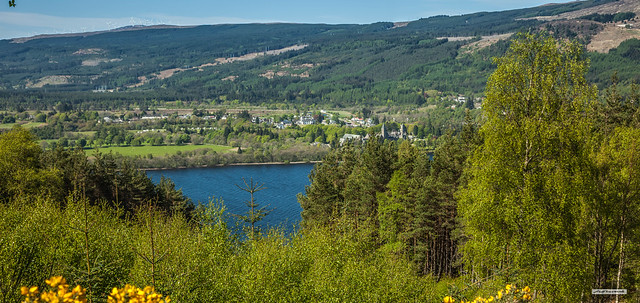 Commercial Forest, Great Glen, Caledonian Canal, town of Fort Augustus, Millennium Wind-Farm and the south-western end of Loch Ness, in early summer, Inverness-shire, Scotland.