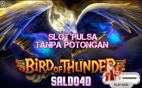 Judi Slot Bird Of Thunder Habanero SALDO4D