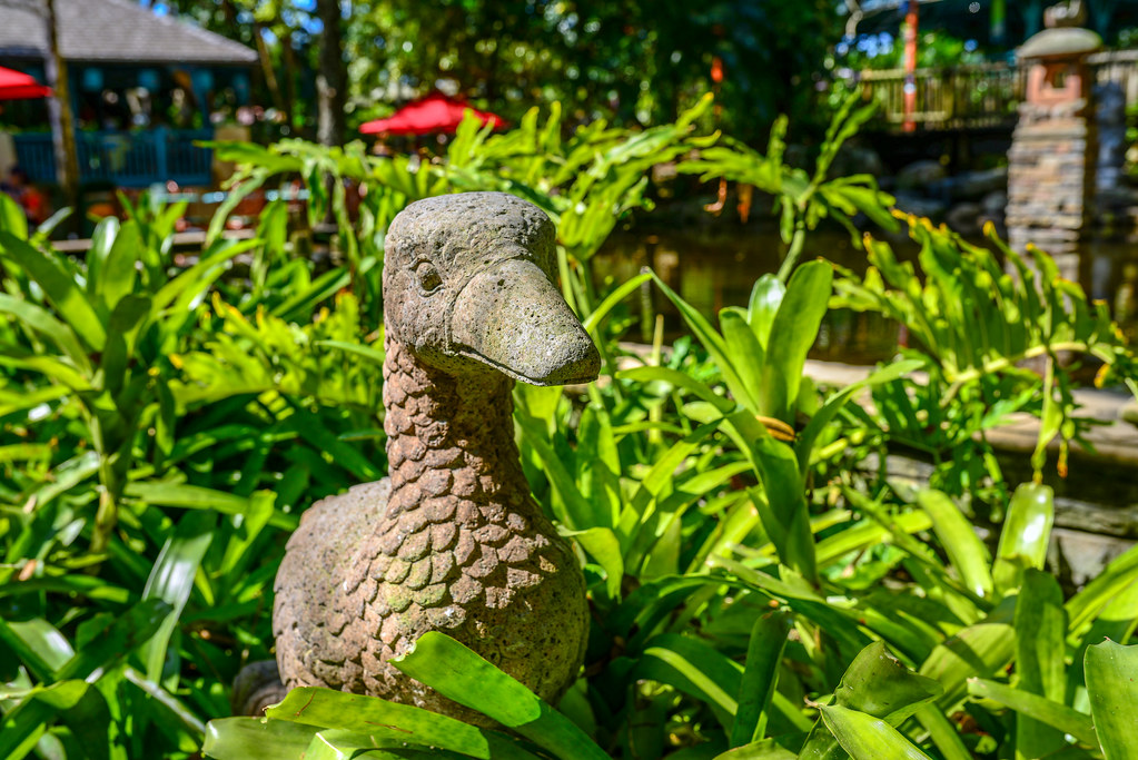 Duck statue AK