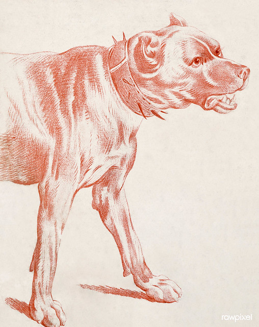 The Fore-part of a Dog (ca.1778) print in high resolution by Louis-Marin Bonnet. Original from the Smithsonian Institution. Digitally enhanced by rawpixel.