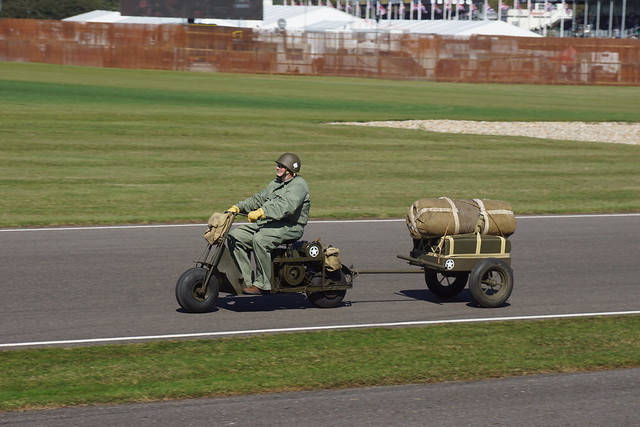 75th Anniversary of the Normandy Landings, D-Day Commemoration, Goodwood Revival Meeting (11)