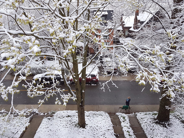 Toronto's April Snow