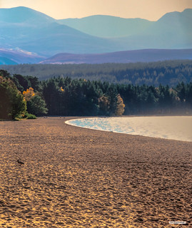 Loch Morlich and the Cairngorm Mountains nearing sunset in autumn. Mr. Duck is off. With most beach-goers departed, no more sandwiches!