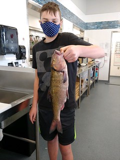 Photo of boy holding state record fallfish
