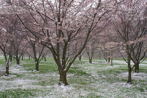 Two Seasons | by Renata Lenartowicz