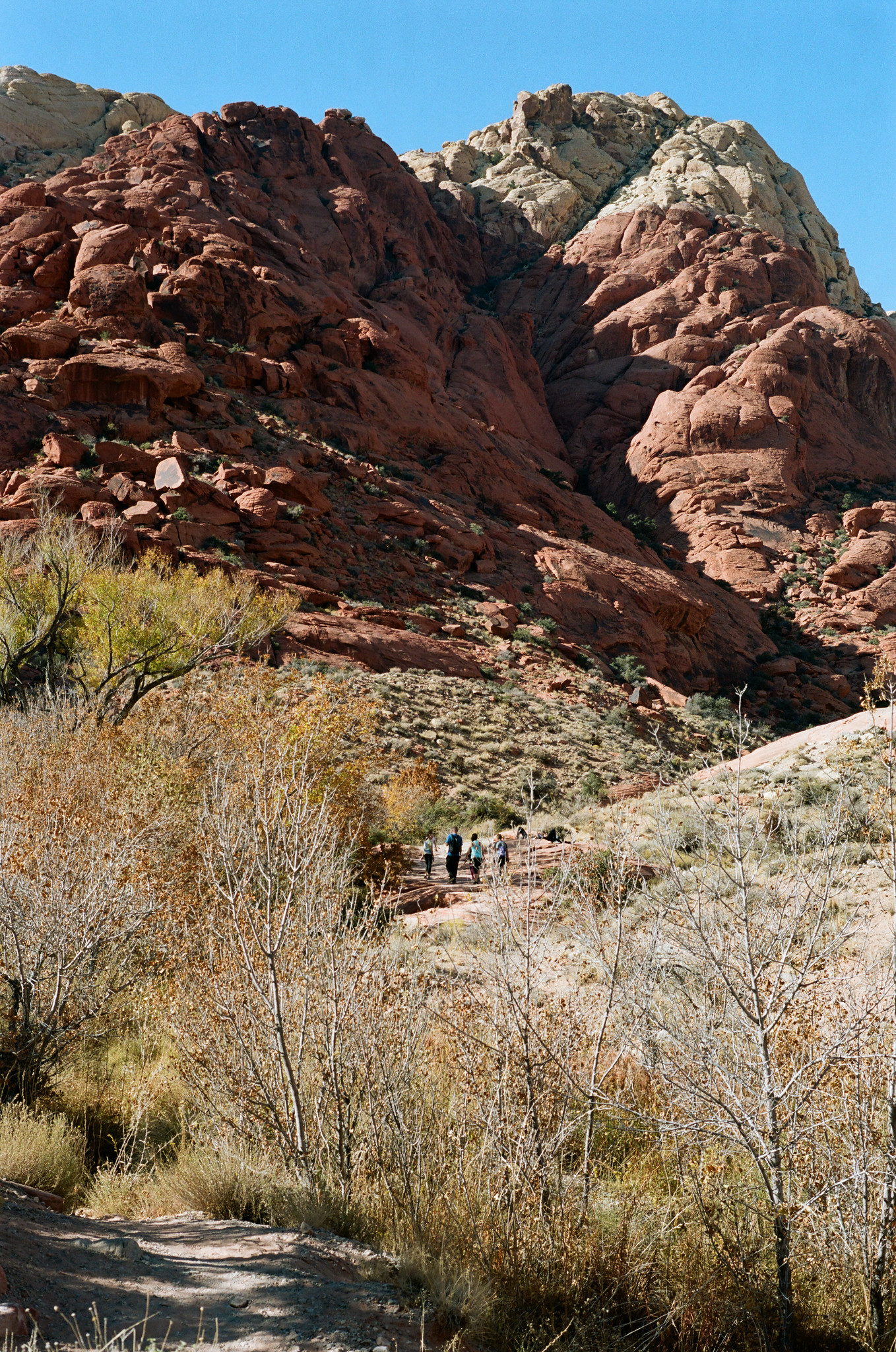 Red Rock Canyon