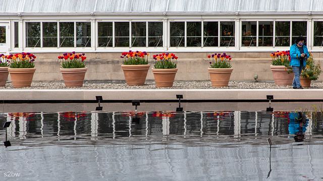 Conservatory with Pond and Tulips.jpg