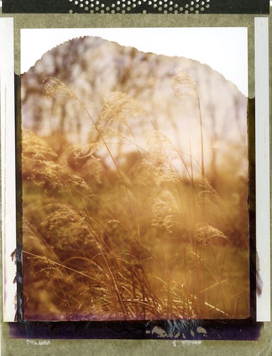 Untitled | by er_code_blue